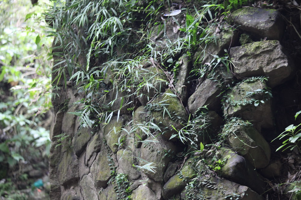 樹林石灰坑拱橋