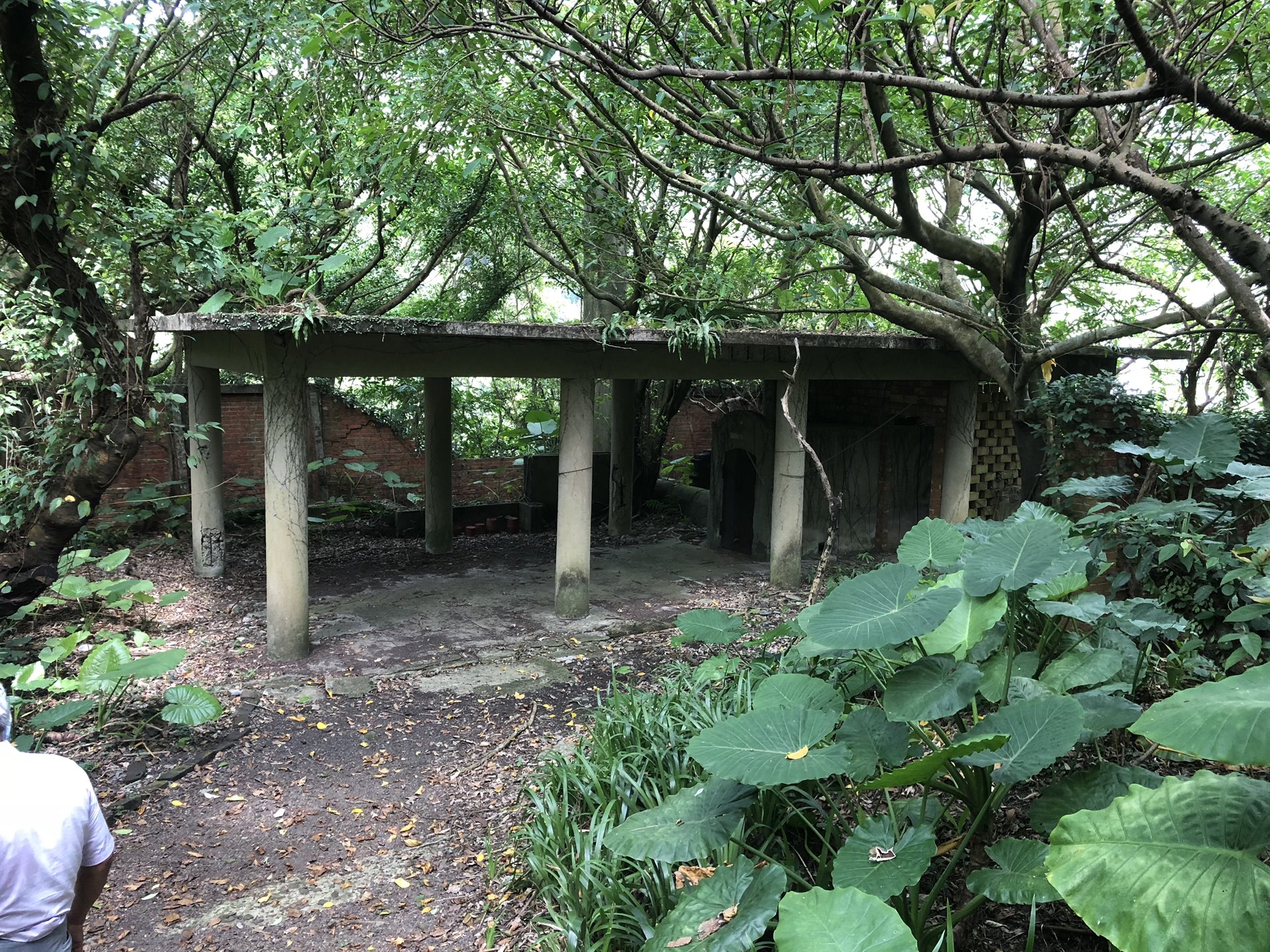 金瓜石金泉寺及火葬場