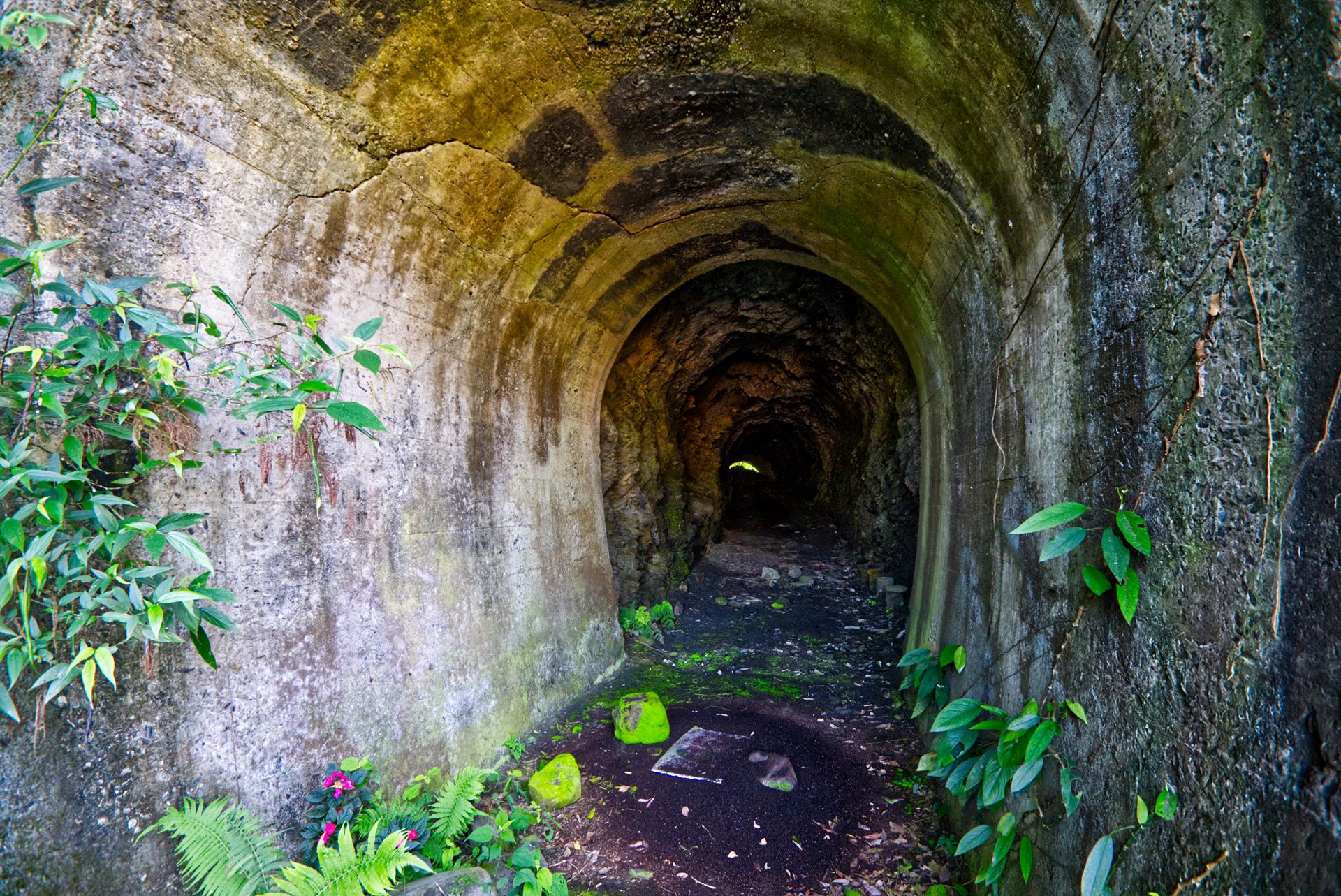 羅東林鐵八號隧道