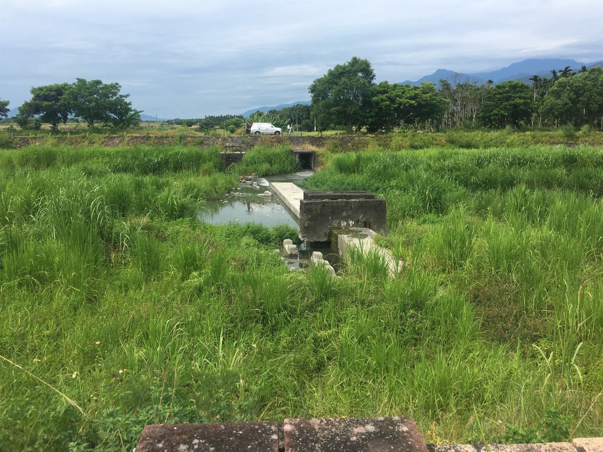 林田圳虹吸式圳道