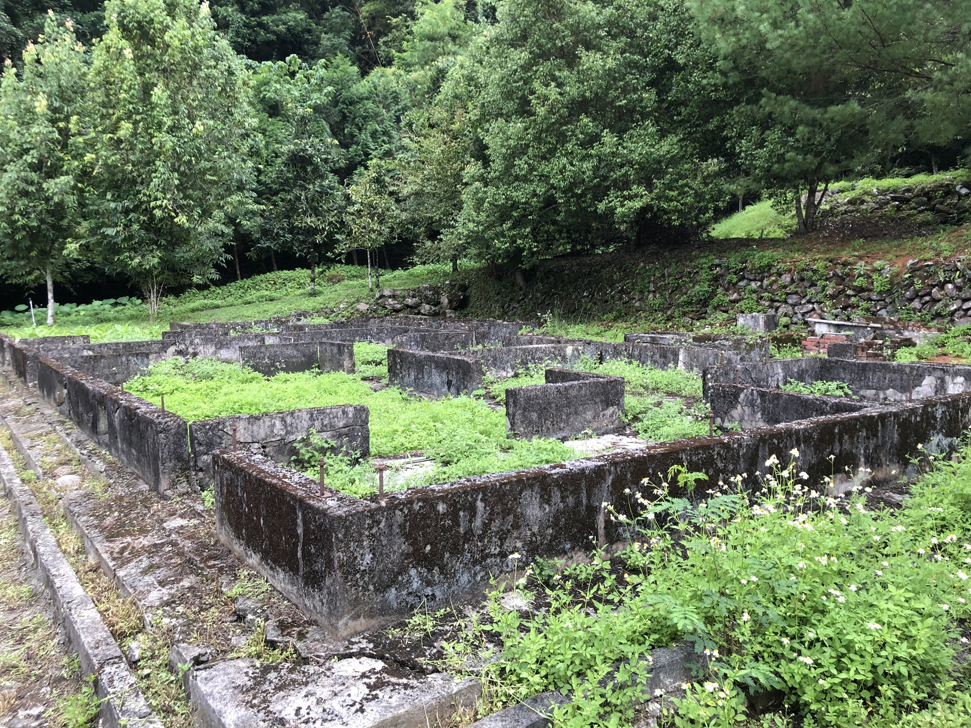 林田山中山堂及康樂新村殘構