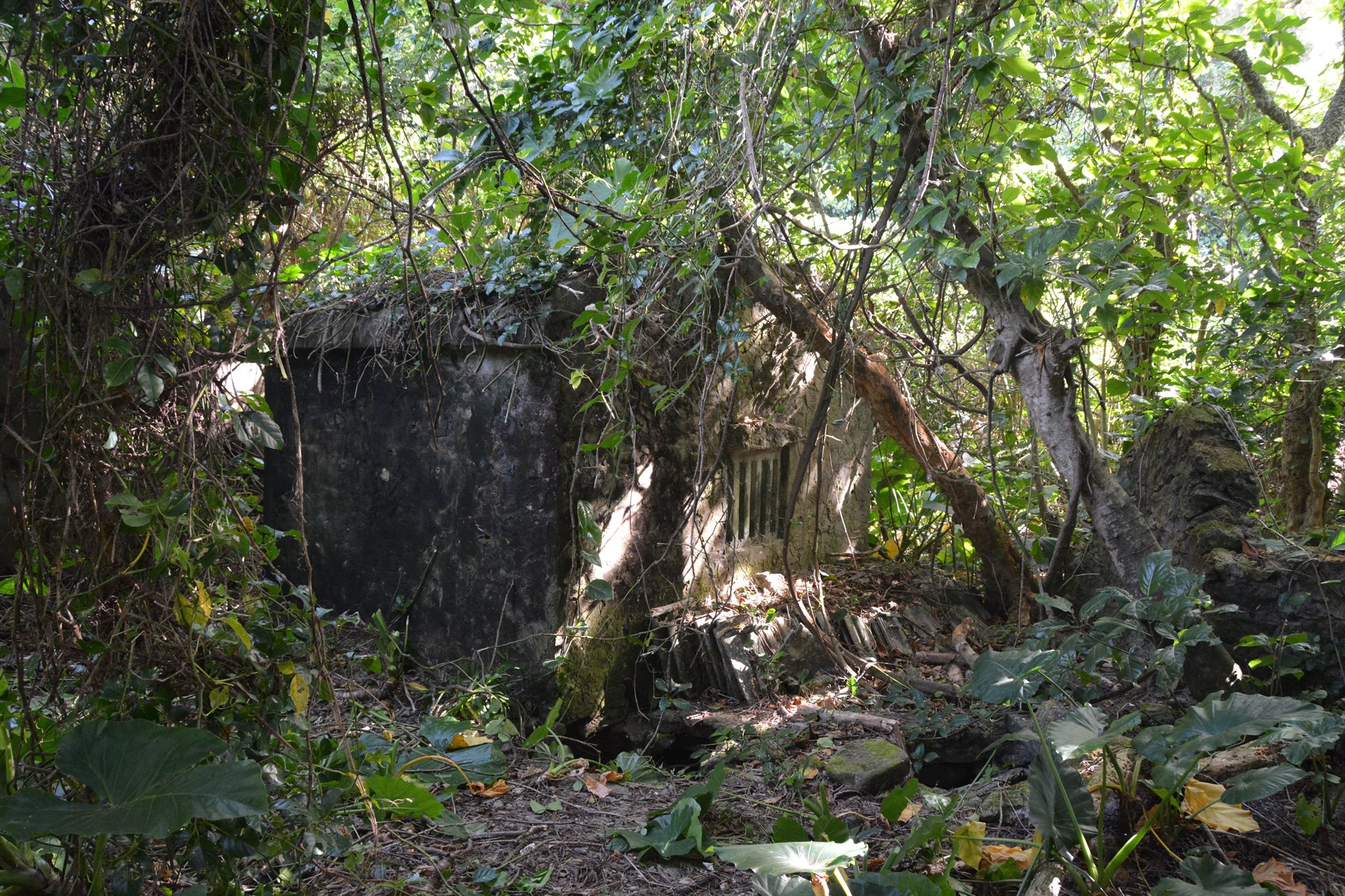 柚仔湖聚落遺址