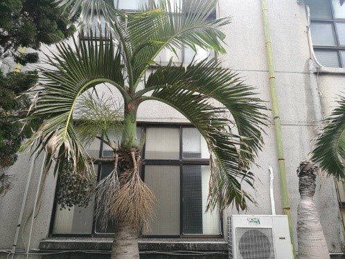 原新竹地方法院