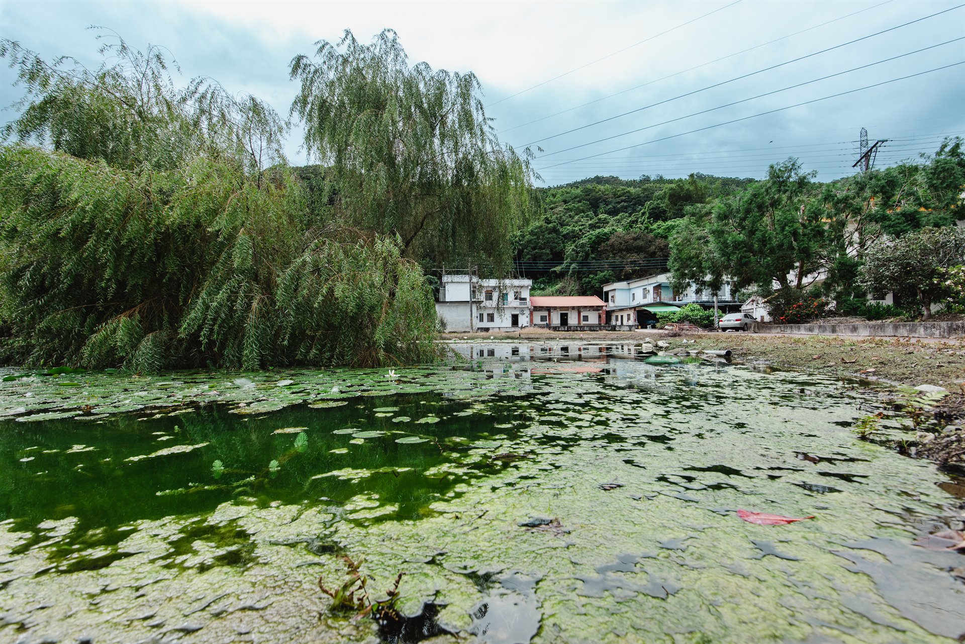 光復鄉大豐村古厝（穎川堂）
