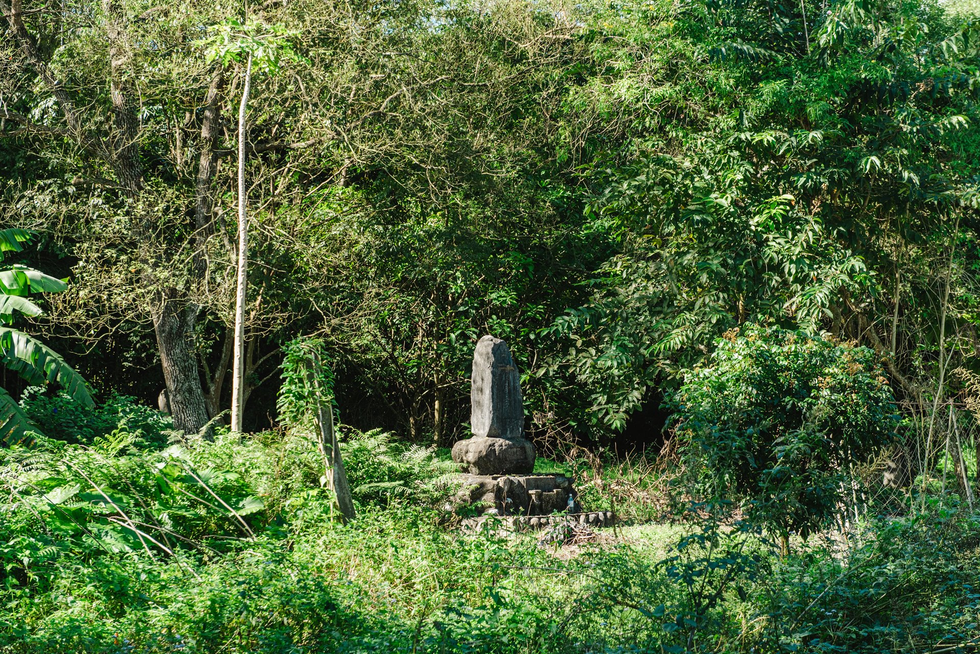 壽豐豐裡村日本移民墓園