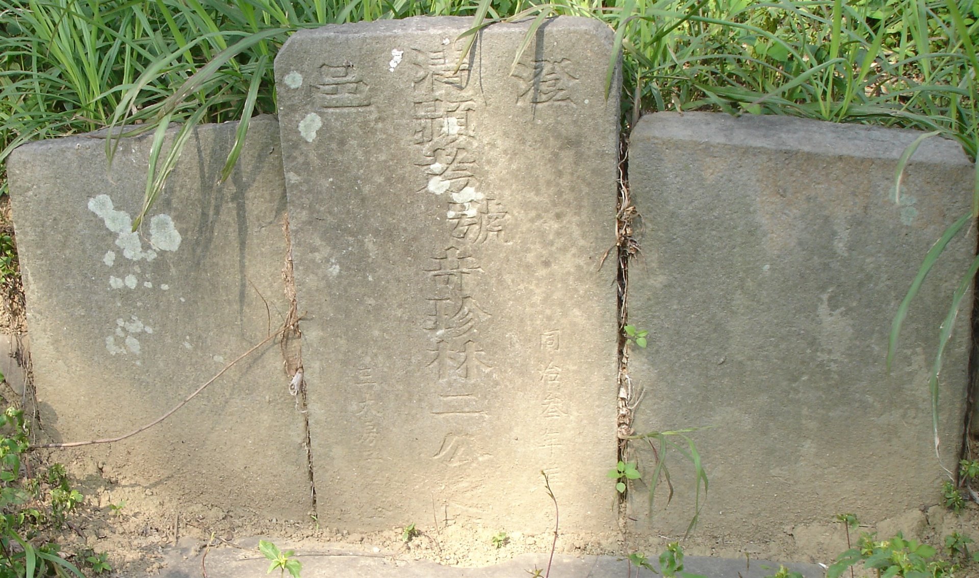 八德林奇珍古墓