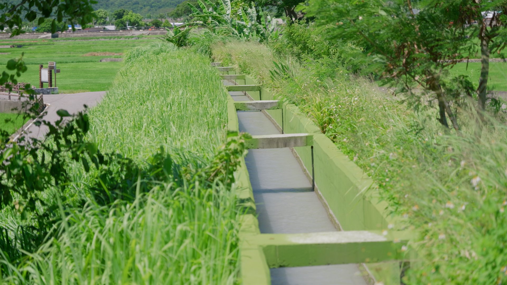 池上浮圳(第六支圳)