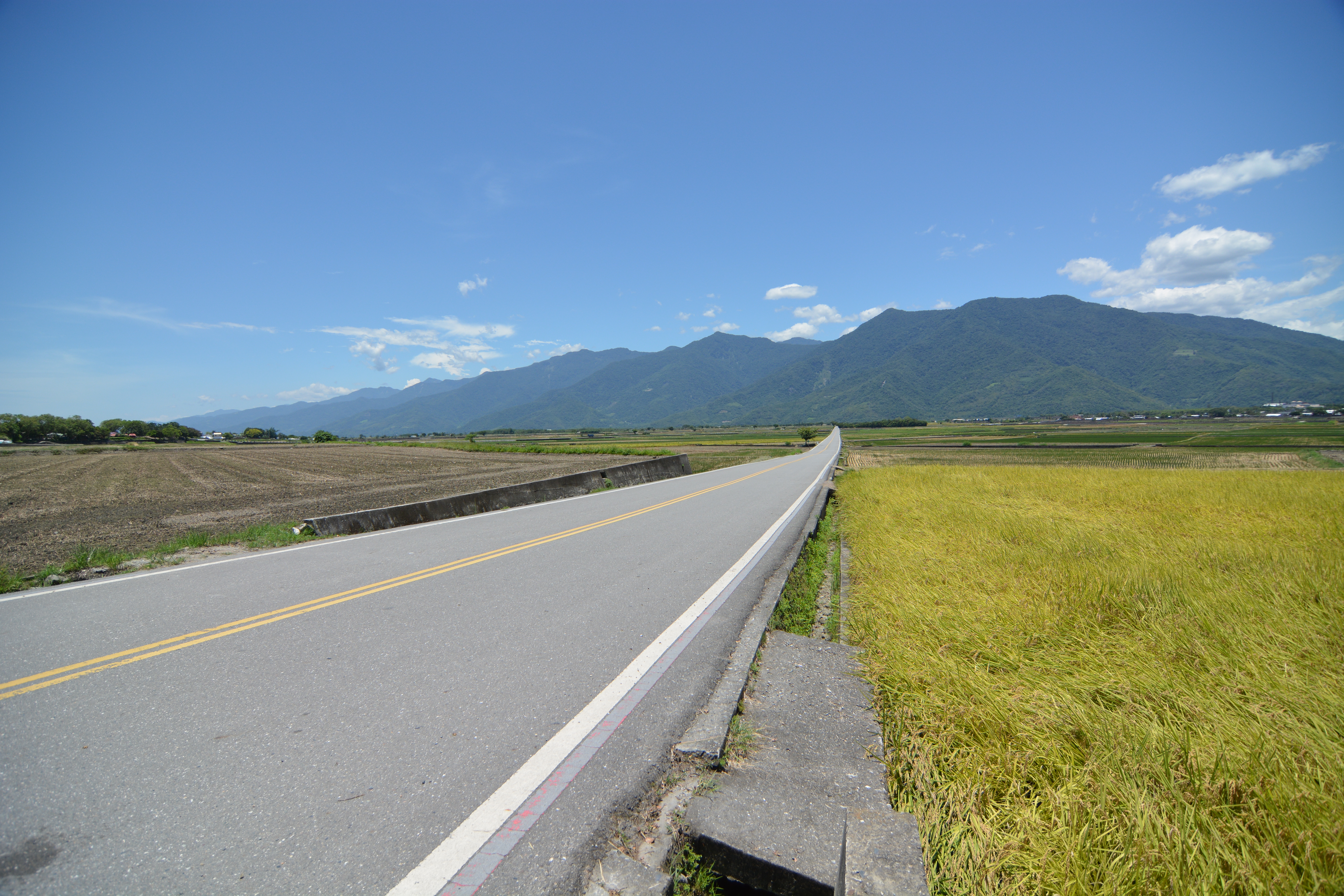 池上新開園老田區
