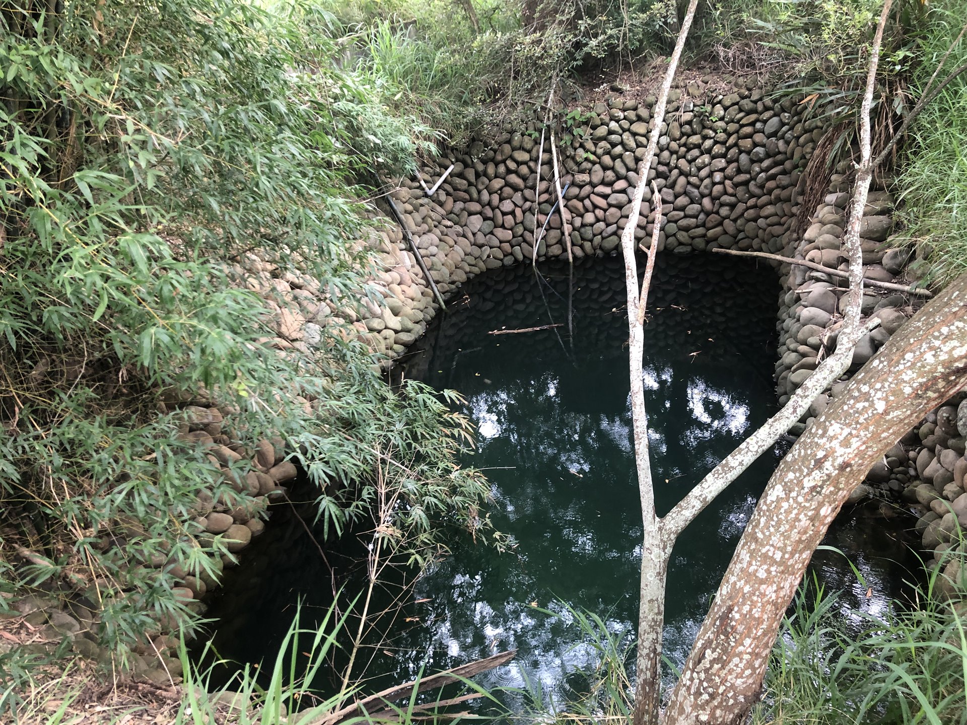 蕉埔邱家水窟