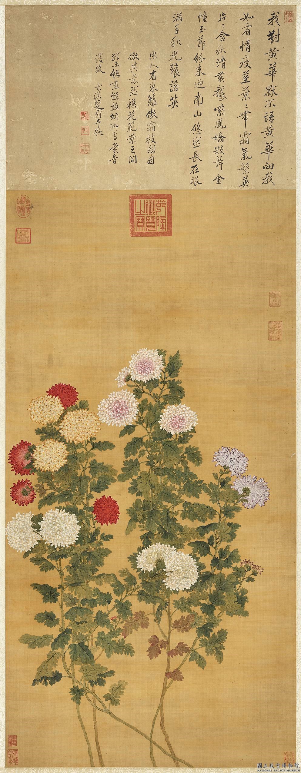 清惲壽平東籬秋色|文化資產複合查詢|文化部文化資產局--國家文化資產網