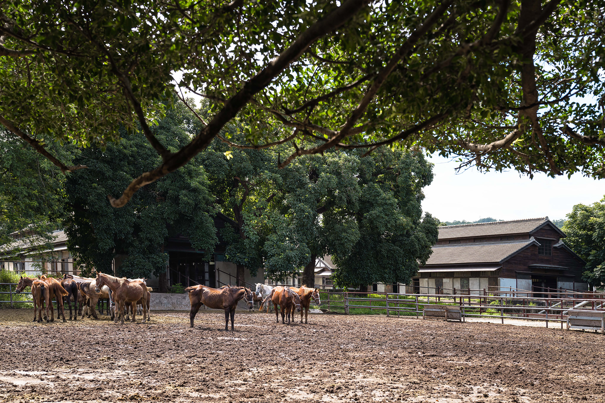 后里馬場馬廄、場本部、紀念碑探索