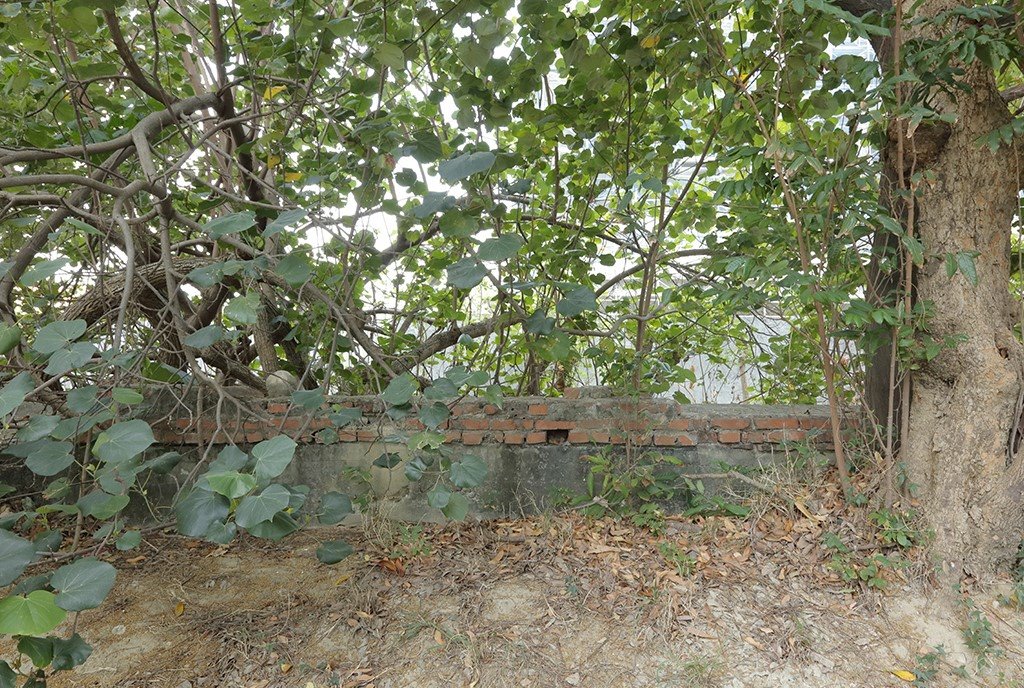 原三分子日軍射擊場靶溝遺構