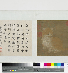 貍奴小影圖