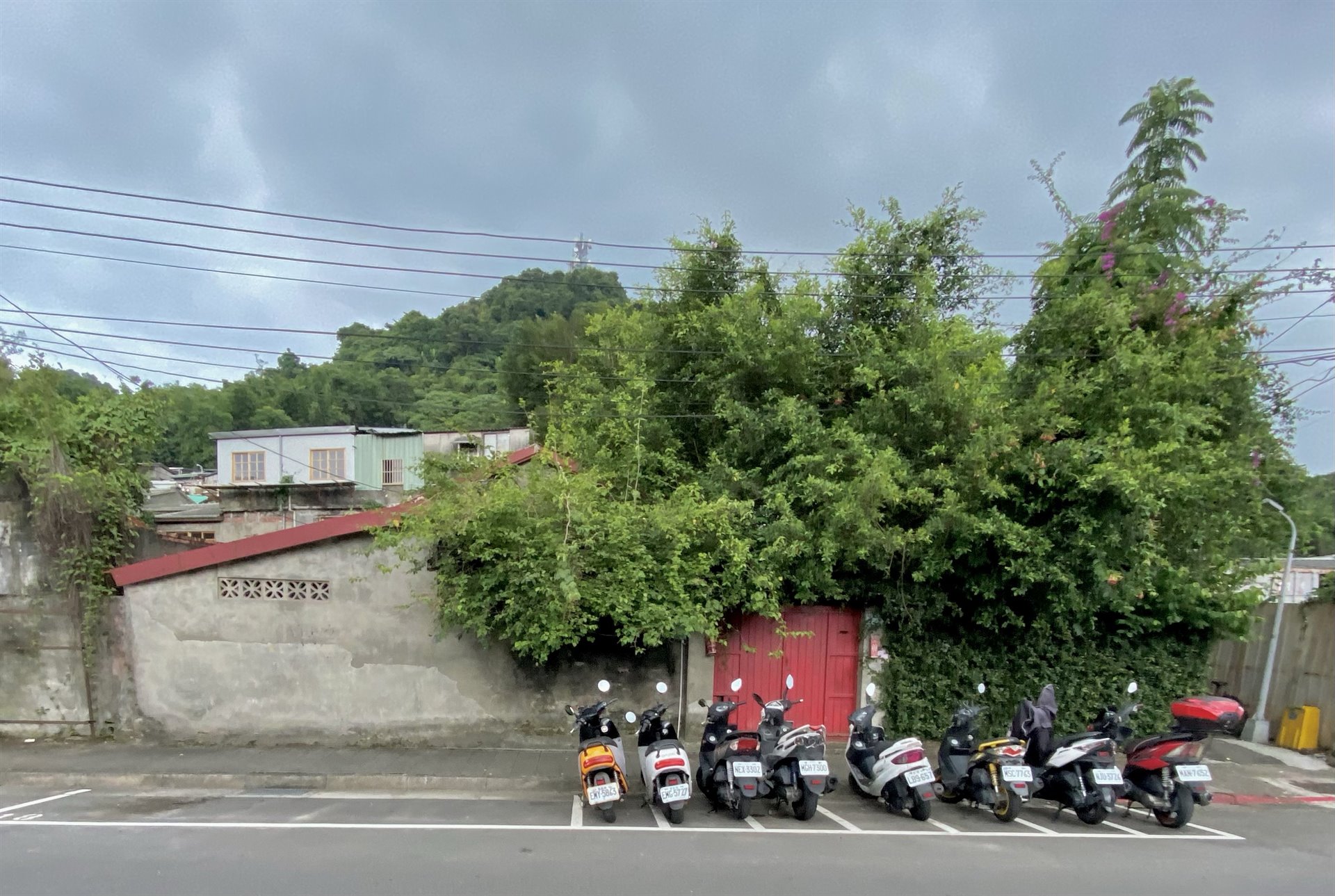 農業試驗所宿舍群